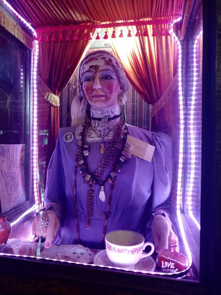 Close up of the fortune teller bust in the case. She has a tea cup in front of her on a table with cards spread out and her hands over them. She is wearing a head scarf and a blue high necked blouse with many layered necklaces. There is a spotlight in the back and a strand of rope lighting around the front edges.