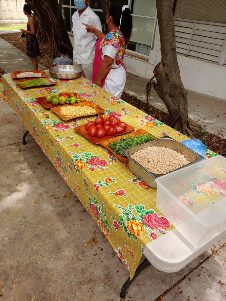 Vegetables lined up on a table prepared for cooking lesson at accessible Spanish lessons in Merida, Mexico.