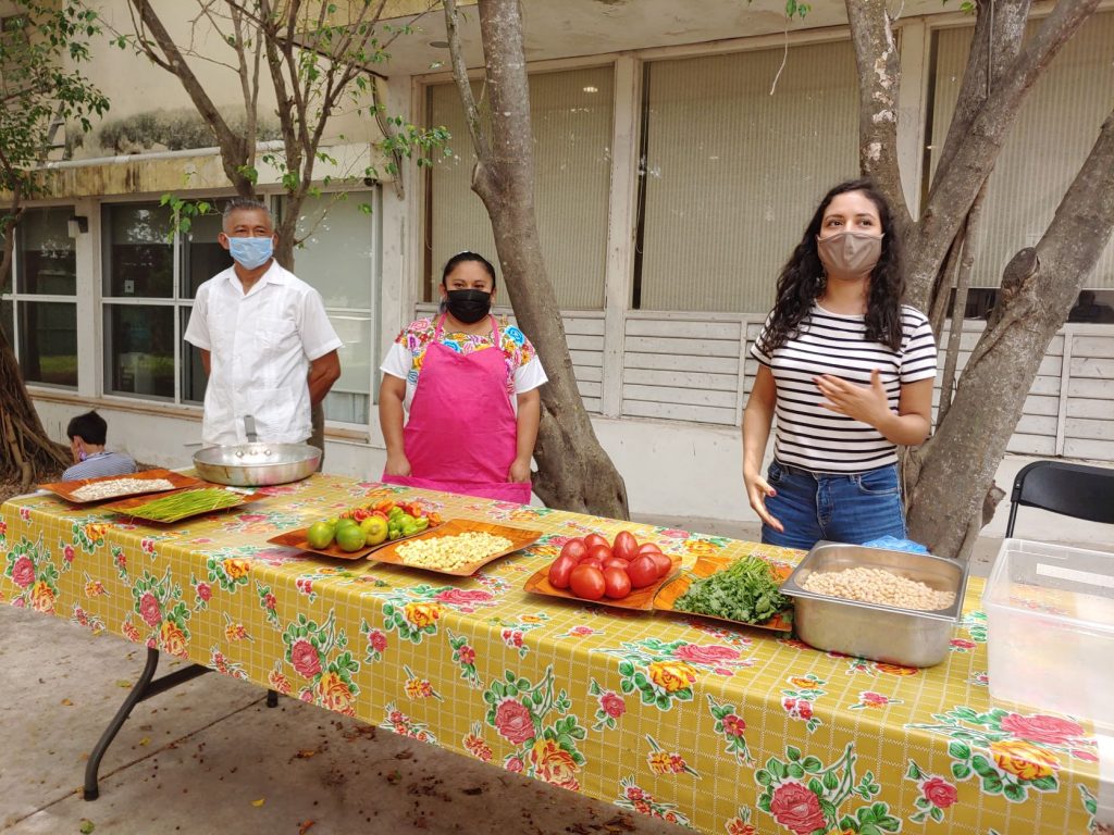 Vegetables lined up on a table prepared for cooking lesson at accessible Spanish lessons in Merida, Mexico.