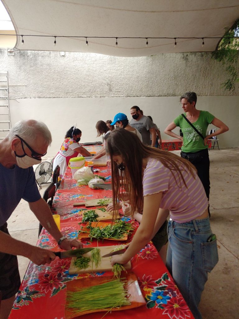 Row of students chopping produce for cooking lesson at accessible Spanish lessons in Merida, Mexico.