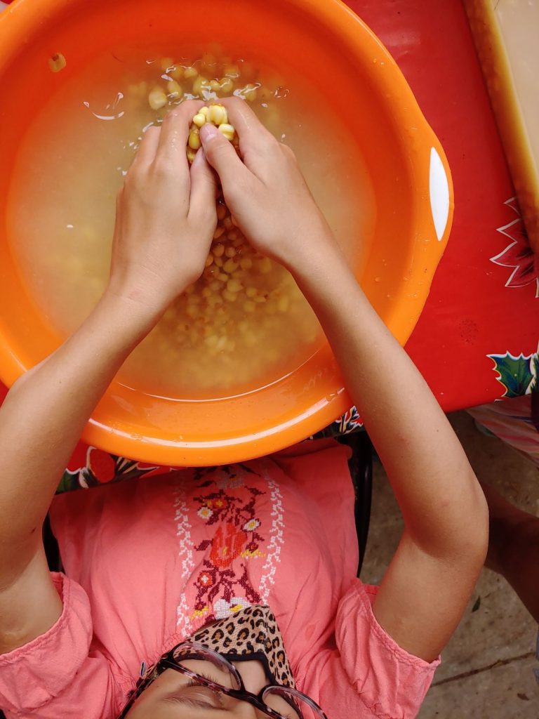 Teen girl in wheelchair washes corn as part of immersive cooking lesson while attending accessible Spanish lessons in Merida, Mexico.