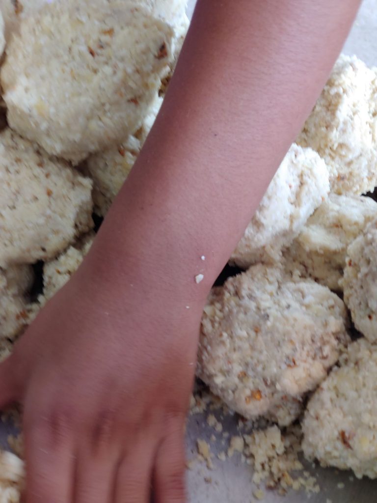 Girl in wheelchair learning to make tortillas during accessible Spanish lesson in Merida, Mexico.