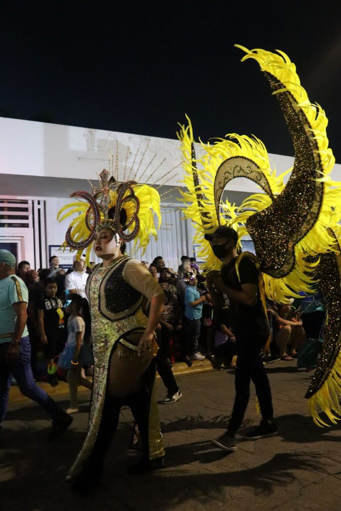 It is dark along the Cozumel Carnaval parade route as a costumed couple pass py. Both have elaborate feathered headpieces with bright yellow. He is a pace behind her with very long curving wing shaped pieces that are edged with matching yellow feathers.