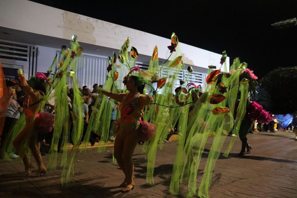 Women perform in the darkness at the Cozumel Carnaval parade. They are wearing short costumes with red tutu skirts and have large back pieces than extend to 10 ft. wide with waving sheer green streamers that look like foliage. There are red flower buds and leaves attached. The dancers have their arms extended to wave the green streamers as they walk the Cozumel Carnaval parade route. Spectators line the edge of the street.