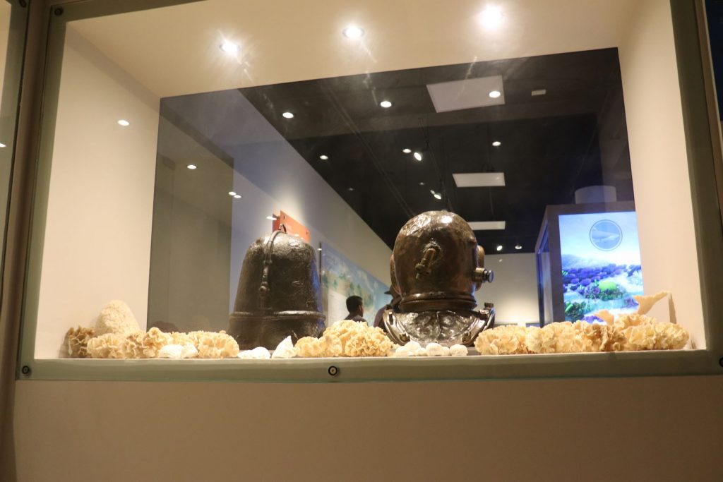 Glass case built into a wall between two sections of the Museo de la Isla de Cozumel. This case has overhead lighting and has two styles of metal diving helmets surrounding with a variety of bleached corals.