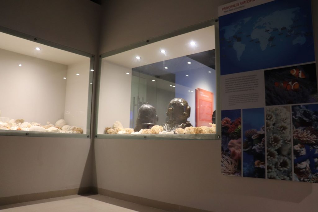 Sections of wall are glass display cases with metal diving helmets and a variety of dried coral inside. They are illuminated from inside. There is a large photographic sign with information about the coral.