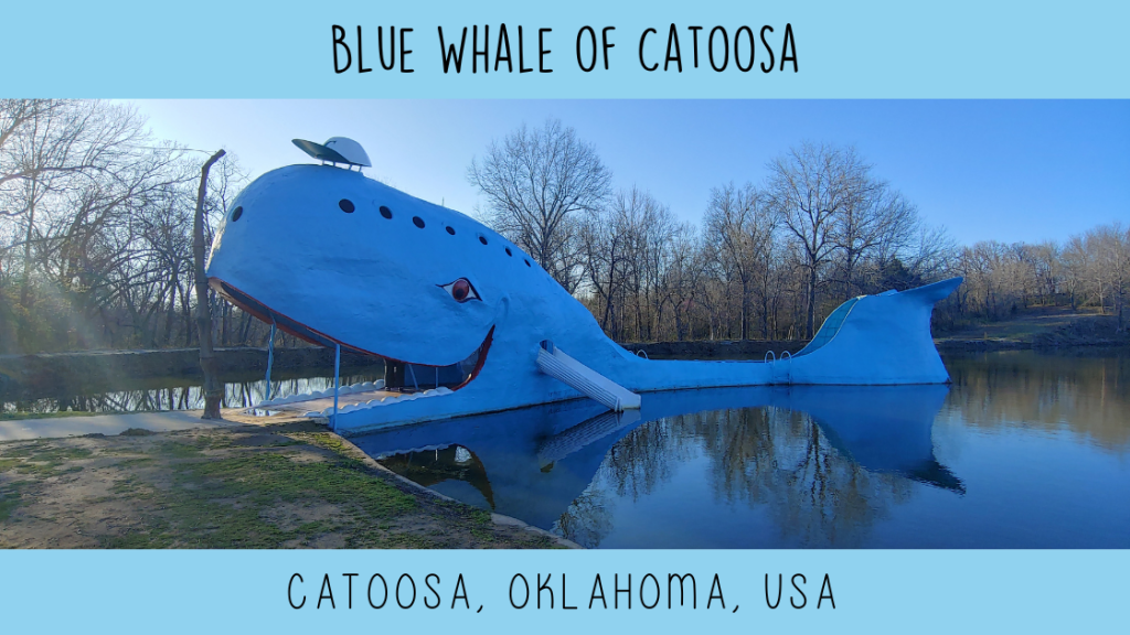 A big blue whale