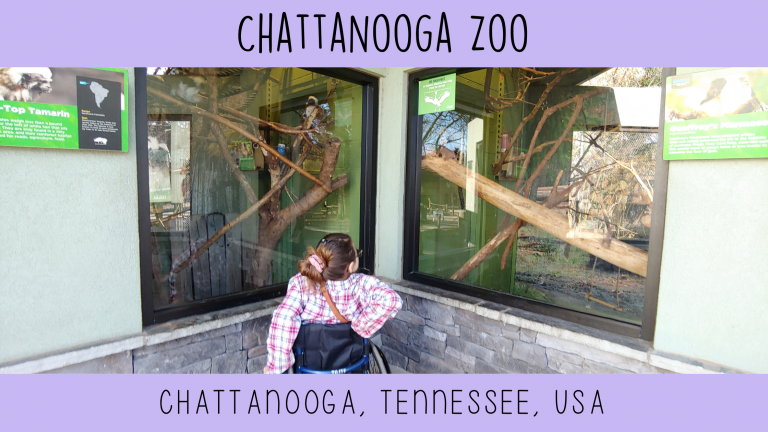 A day at the Zoo